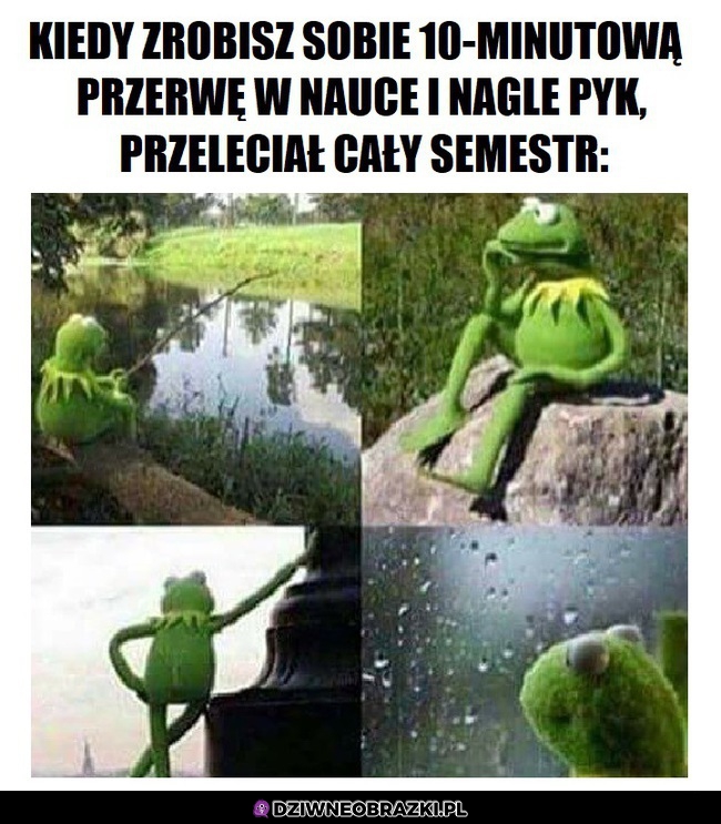 Pyk i nie ma semestru