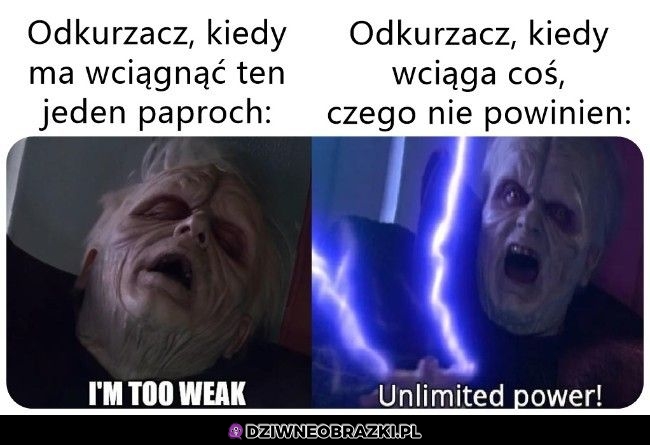 Taki jego wygląd