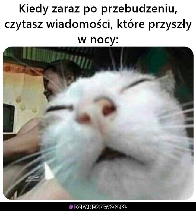 Co tu się działo