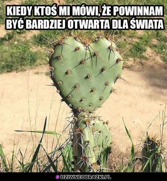 Ok