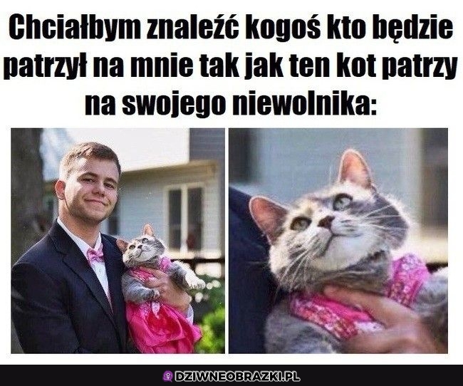 To spojrzenie