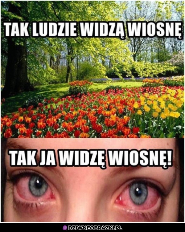 Zaczyna się