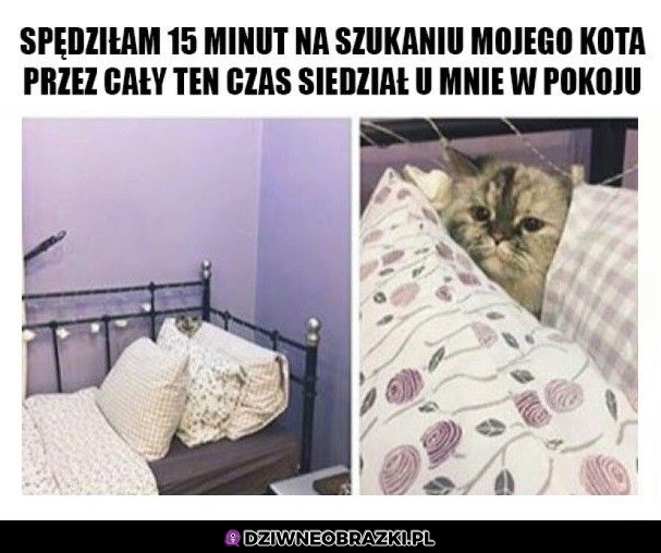Przyczajony