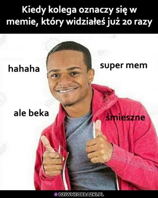Ha ha ha
