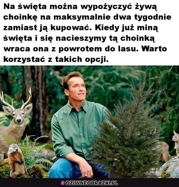 Polecam taki sposób