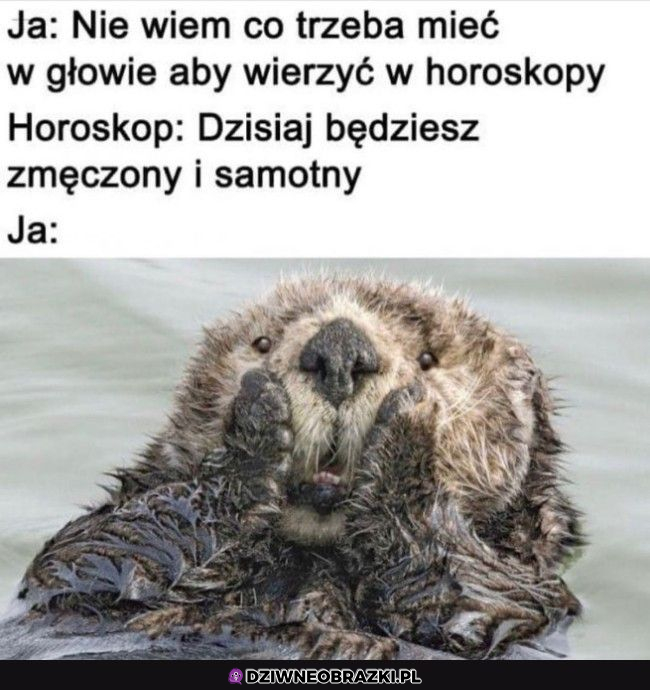 Zgadza się!