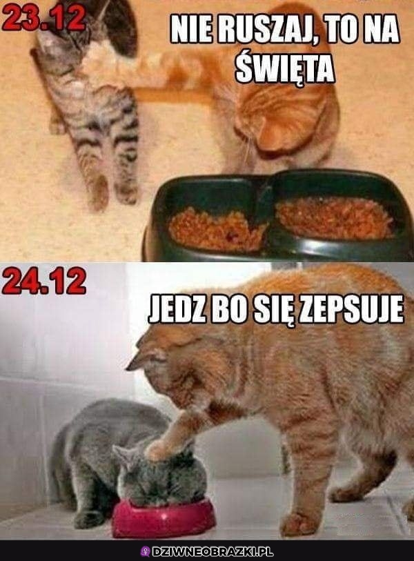 Zawsze to samo