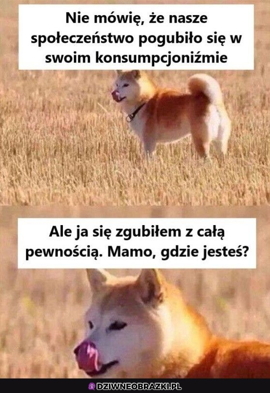 Zgubiłem się