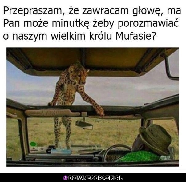 Masz minute?