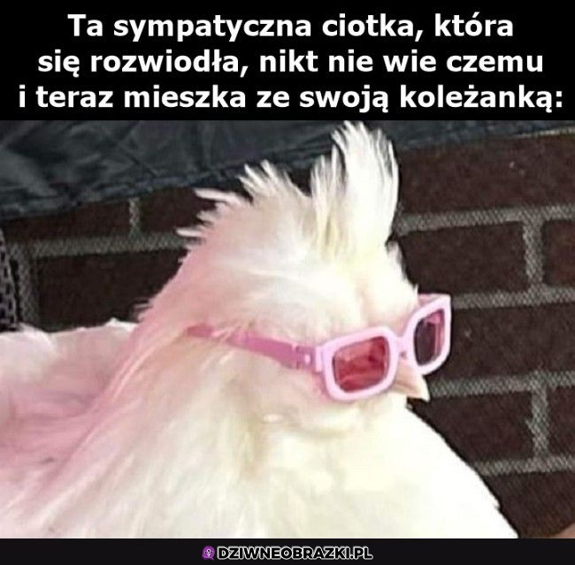 Każdy ma taką ciotkę