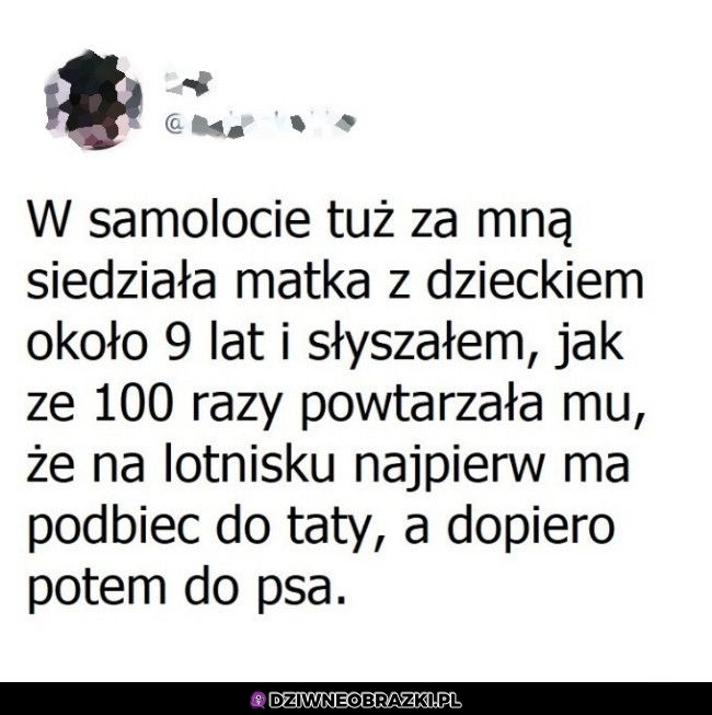 Ważna instrukcja