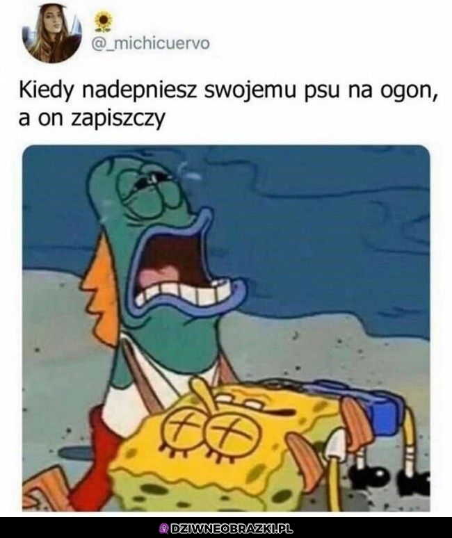 Ten moment