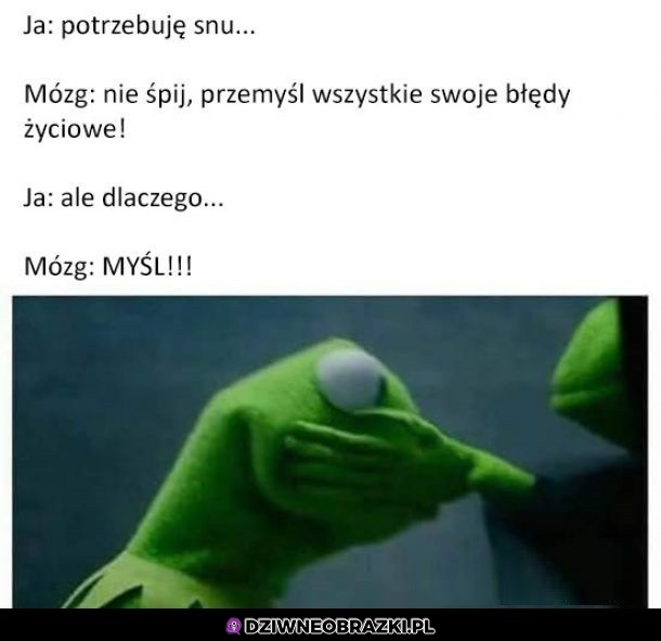 Rób to niewolniku!