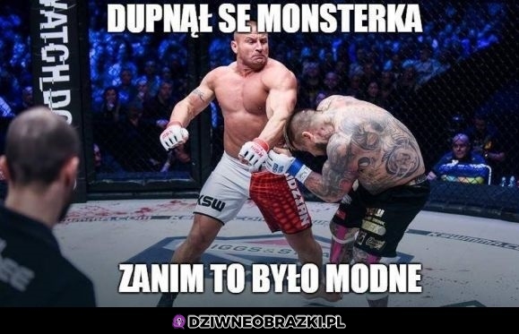 Dupnięty monsterek