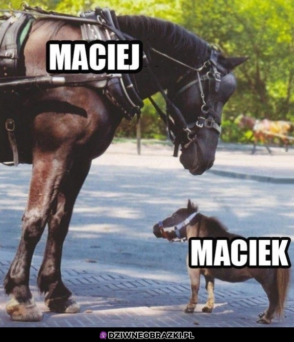 Różnica