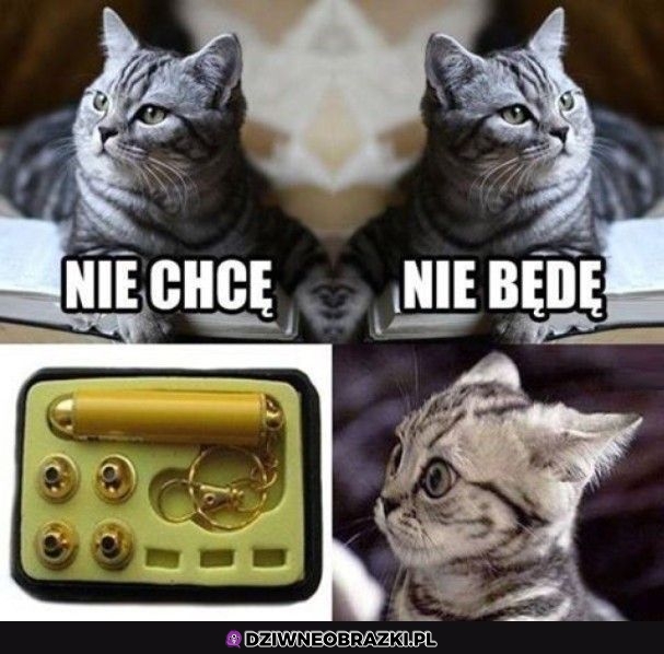 A jednak