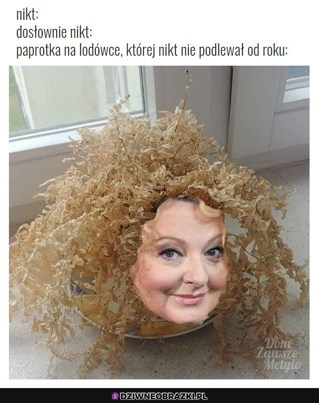 Ta jedna paprotka