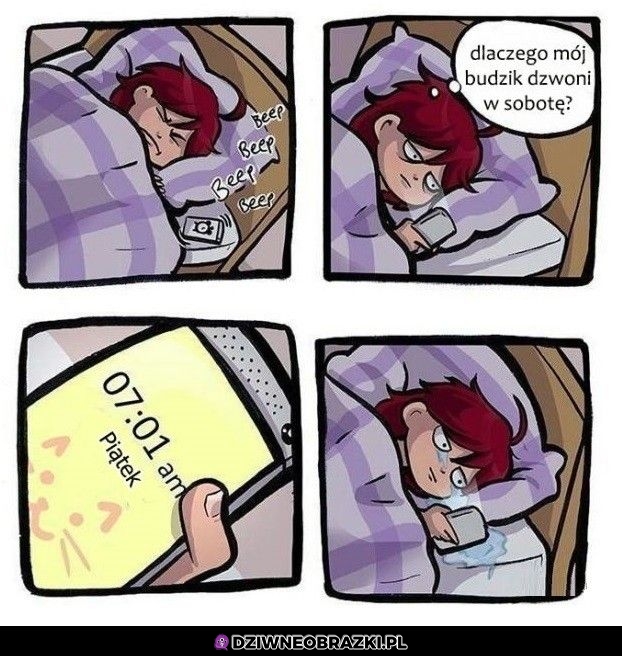 Budzik