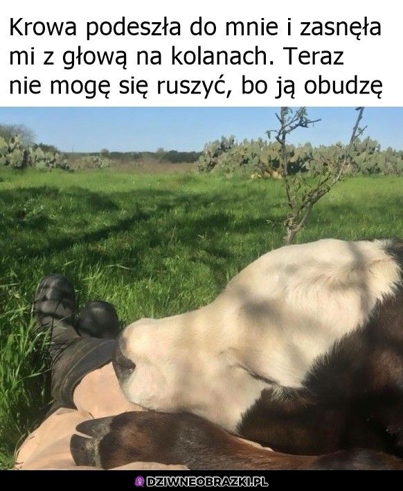 I tak już zostanę