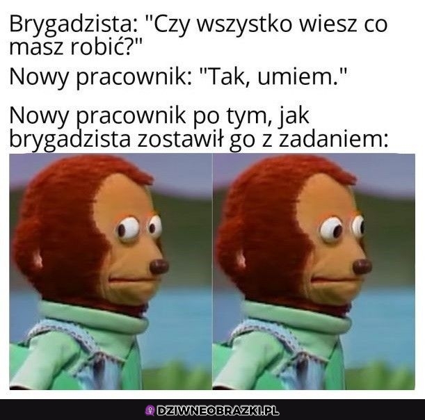 Ten moment