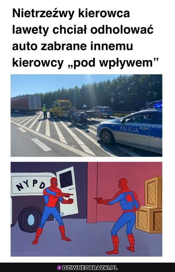 Głupi i głupszy