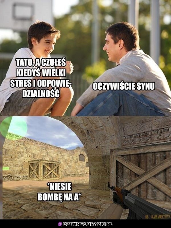 Stres i odpowiedzialnosc
