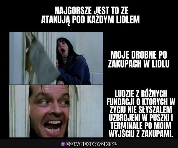 Potworki dnia codziennego 