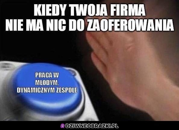 Młody dynamiczny zespół