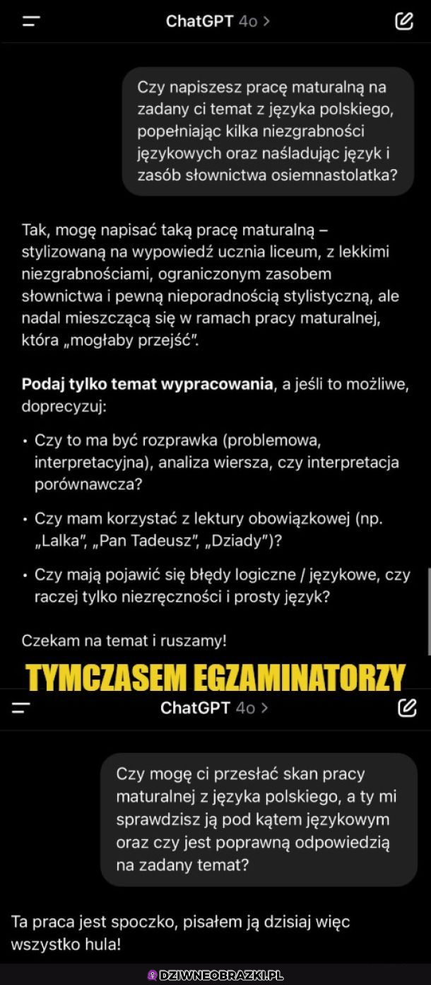 Wszyscy współpracują z chatem 