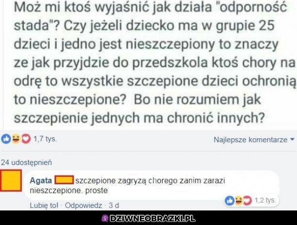 Odporność stada