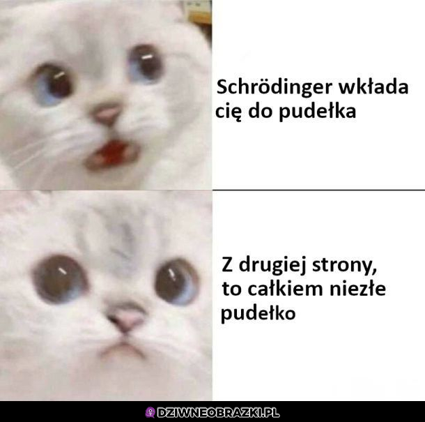 Wystarczy dobre podejście