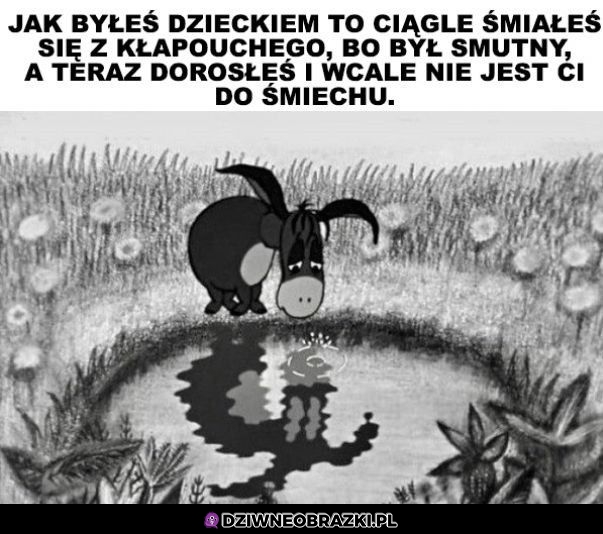 No właśnie