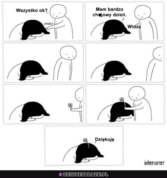 Trzymaj