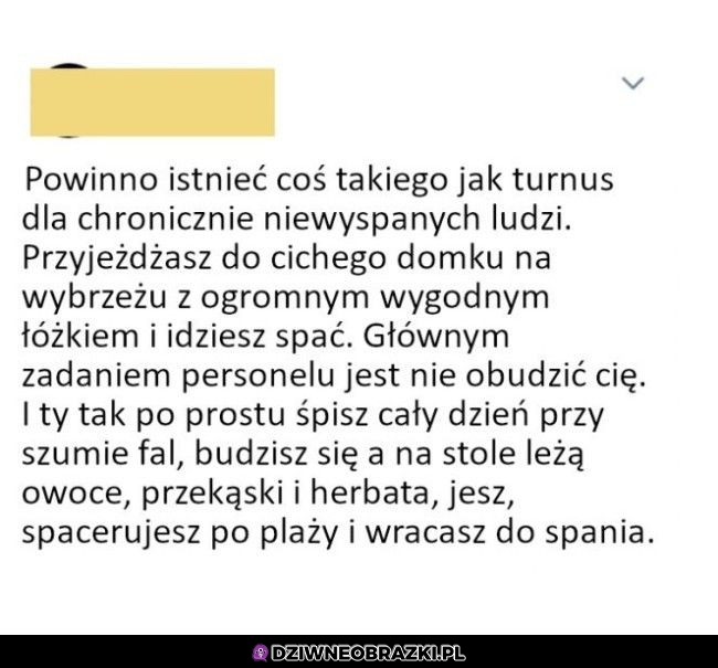 Potrzebuję czegoś takiego