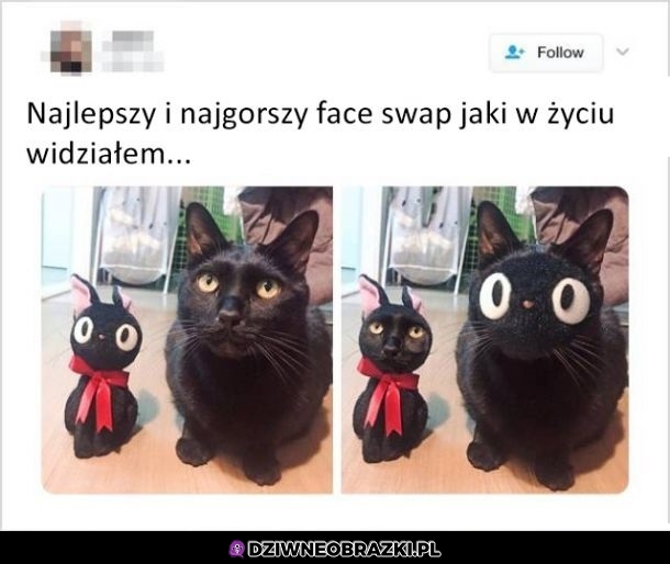 Faceswap