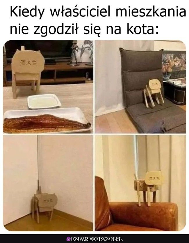 trzeba sobie jakoś radzić