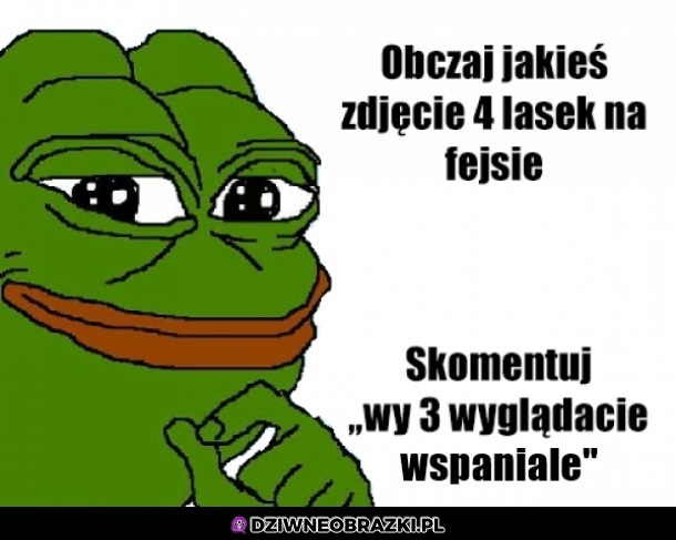 Wojna została rozpętana