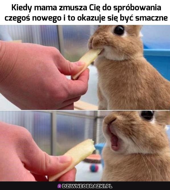 Ten moment