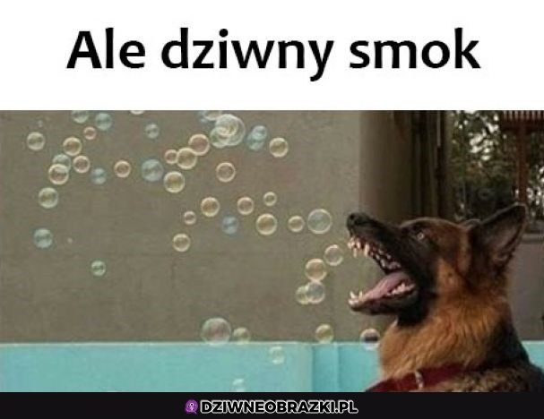 Bąbelkowy