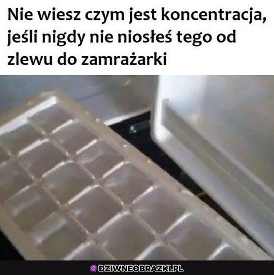 Najwyższy poziom