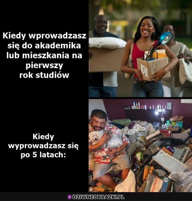 Tak to wygląda