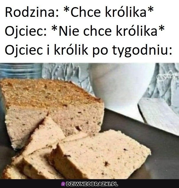 Króliczek po tygodniu