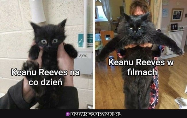 Keanu
