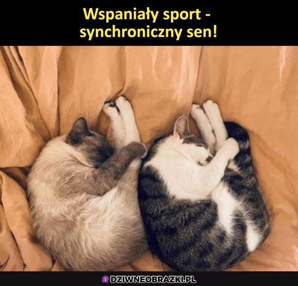 To jest dopiero sport!