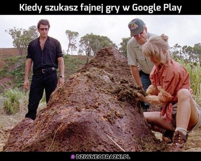 Poszukiwania