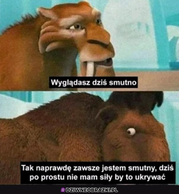 Dokładnie