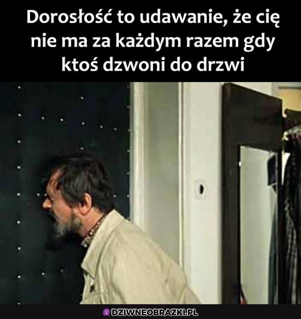 Tak wygląda dorosłość