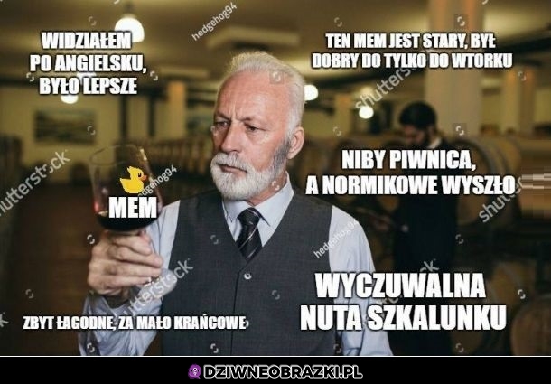 Koneserzy memów