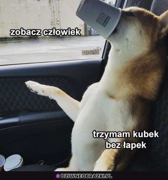 Pacz człowieku