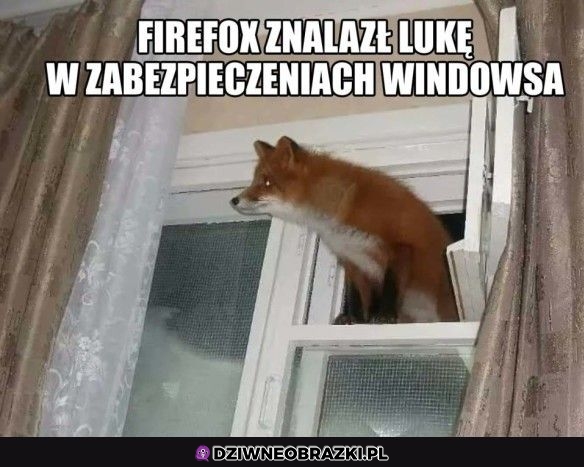 Znalazł lukę